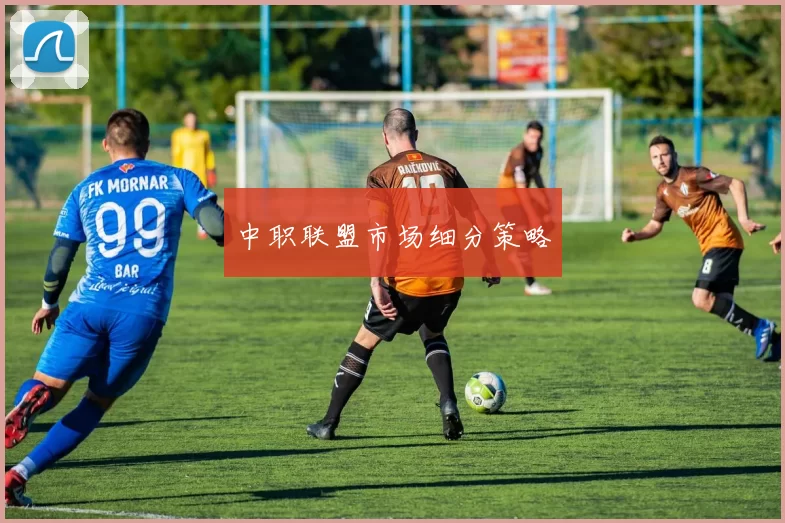 中职联盟市场细分策略