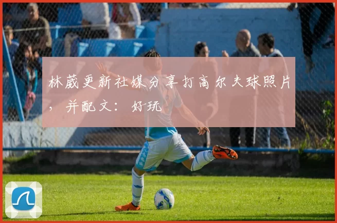 林葳更新社媒分享打高尔夫球照片，并配文：好玩