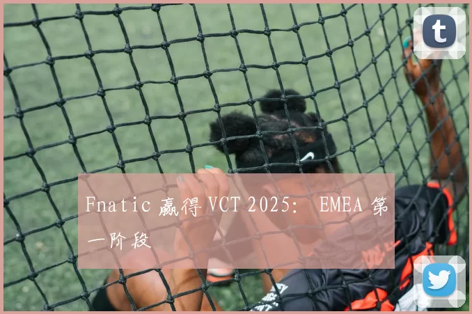 Fnatic 赢得 VCT 2025： EMEA 第一阶段