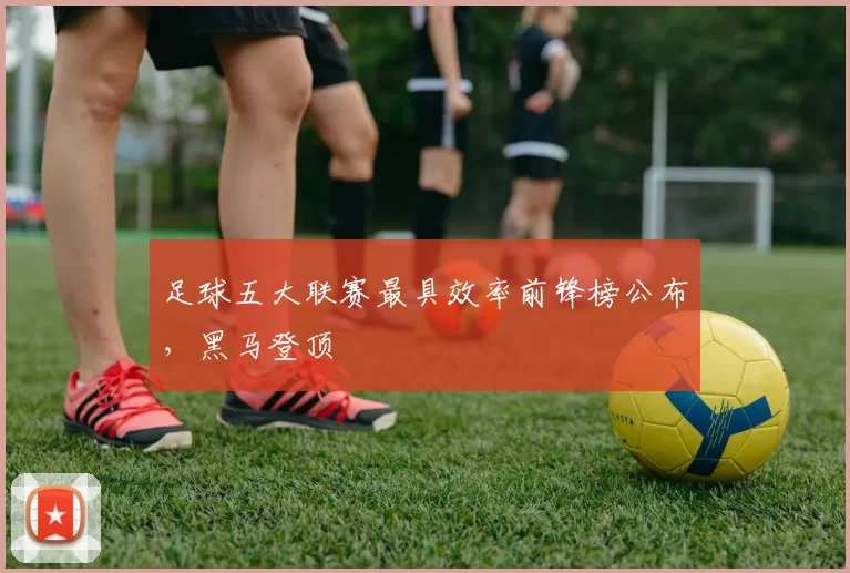 足球五大联赛最具效率前锋榜公布，黑马登顶