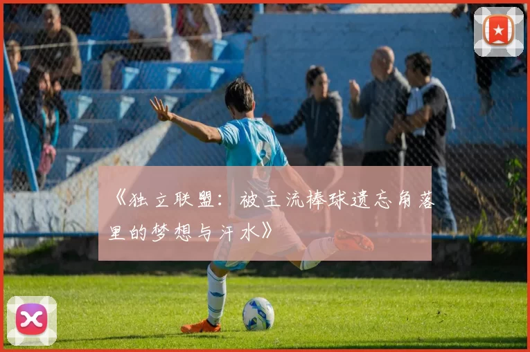 《独立联盟：被主流棒球遗忘角落里的梦想与汗水》