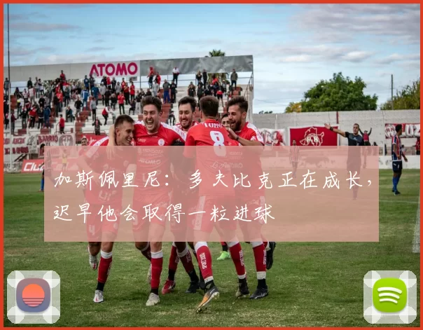 加斯佩里尼：多夫比克正在成长，迟早他会取得一粒进球