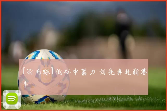 [羽毛球]低谷中蓄力 刘亮奔赴新赛季