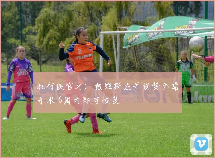 独行侠官方：戴维斯左手伤势无需手术 6周内即可恢复