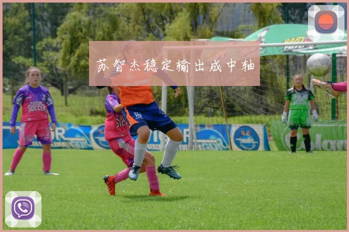 苏智杰稳定输出成中轴