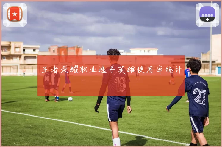 王者荣耀职业选手英雄使用率统计