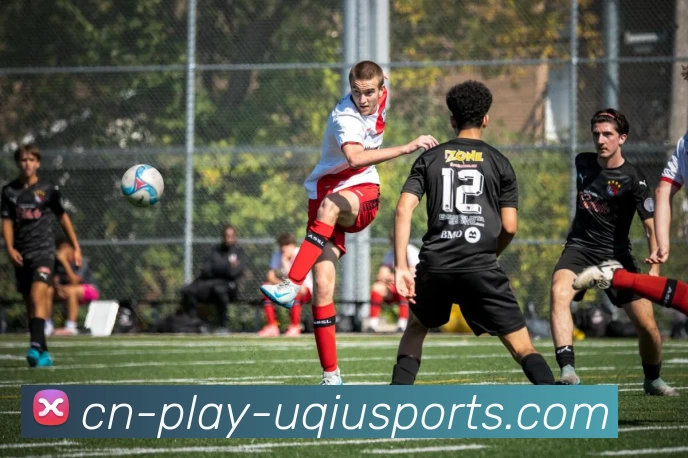 u球体育平台生态图